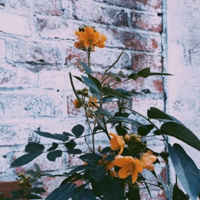 风云体育官方网站下载截图