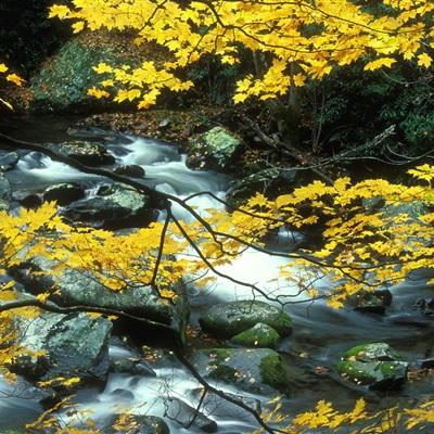 风云体育官方网站下载截图